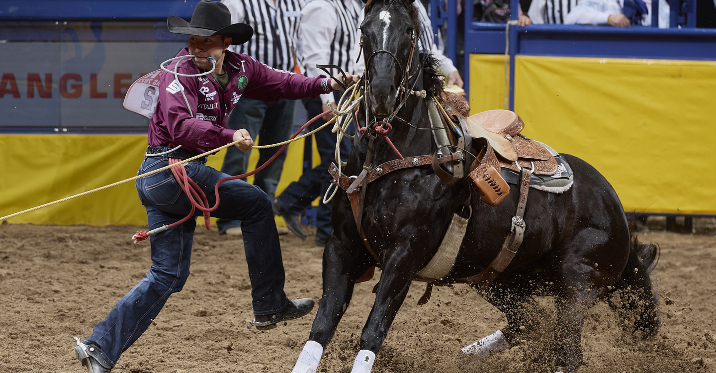 Haven Meged bajándose de su caballo en la NFR con una cuerda en la boca.